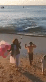 Kwon Sang Woo,Nấc thang lên thiên đường,sao Hàn